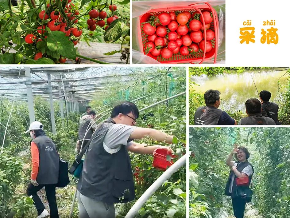 上海格瑞特夏日團建活動圓滿舉行(圖4)